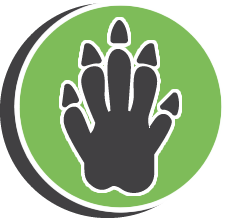 Deceased Pet Disposal