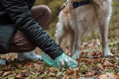 Deceased Pet Disposal